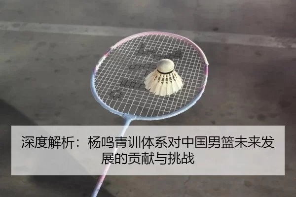 深度解析：杨鸣青训体系对中国男篮未来发展的贡献与挑战
